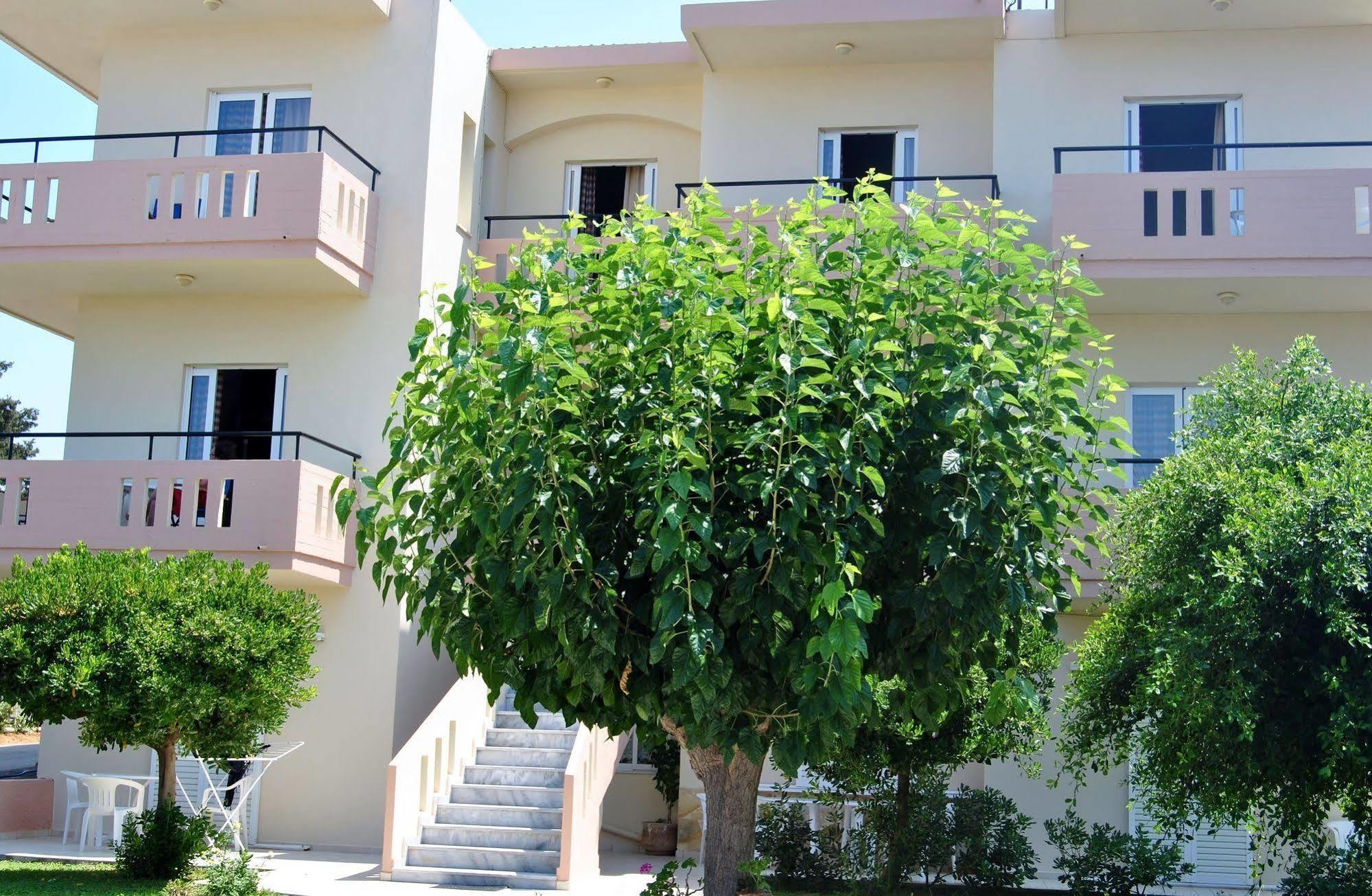 Dimitra & Evdokia Hotel Platanias  Exterior photo